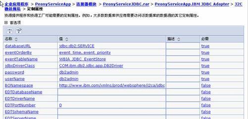 電信業務經營中的數據驅動 WPS與數據庫應用集成實踐